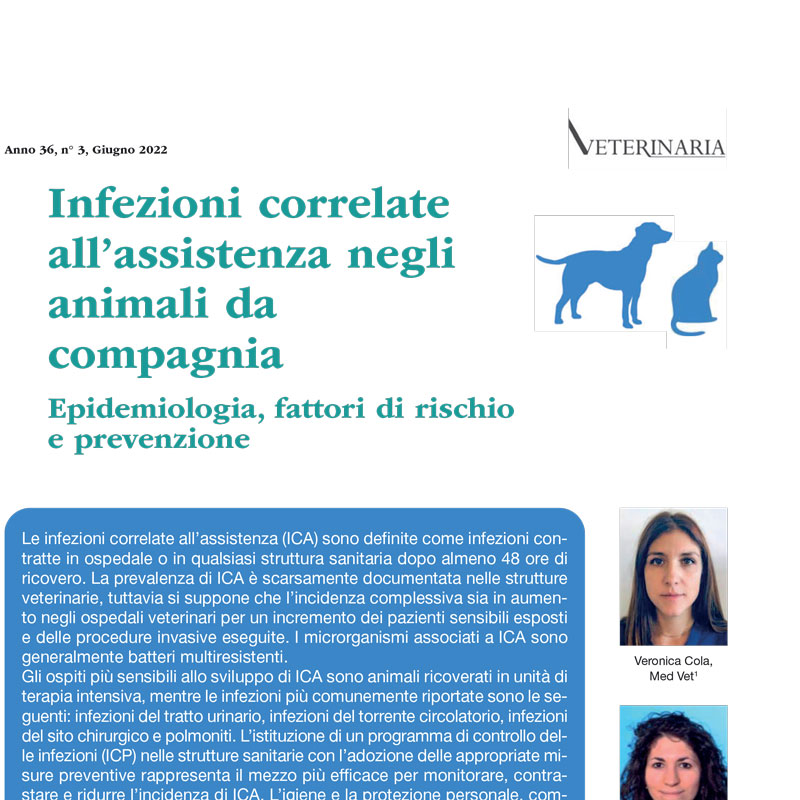 Articolo Veterinaria