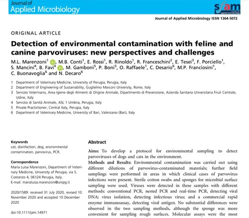 Detection of environmental contamination with feline and canine parvoviruses: new perspectives and challenges