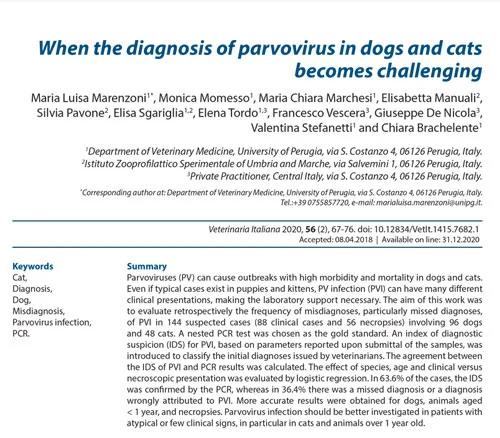 When the diagnosis of parvovirus in dogs and cats becomes challenging