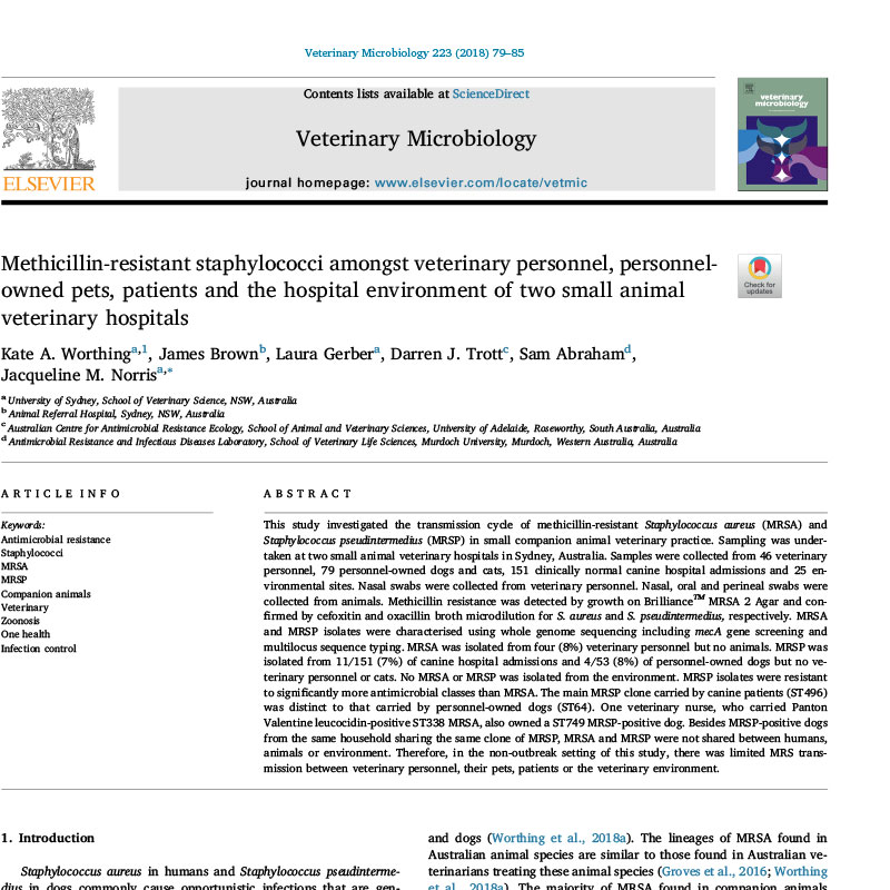 Comparison of disinfectant efficacy when using high‐volume dir