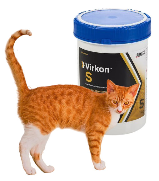 Rinotracheite Infettiva Felina (FHV1) virkon S